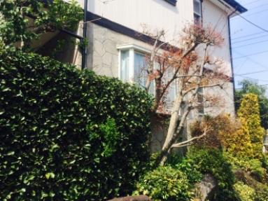 千葉県佐倉市ユーカリが丘のD様邸　外壁屋根塗装リフォーム